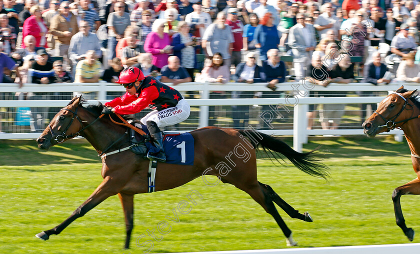 Naina-0001 
 NAINA (Silvestre de Sousa) wins The Download The Raceday Ready App Nursery
Yarmouth 17 Sep 2024 - Pic Steven Cargill / Racingfotos.com