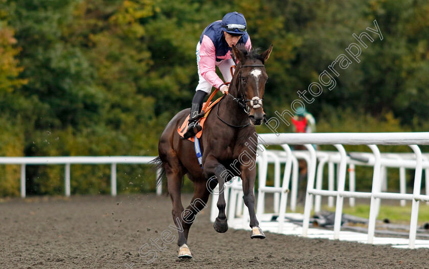 Fleeting-Moment-0002 
 FLEETING MOMENT (Richard Kingscote)
Kempton 2 Oct 2024 - pic Steven Cargill / Racingfotos.com