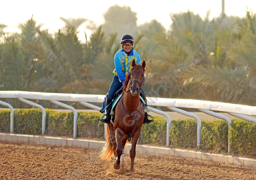 Lemon-Pop-0001 
 LEMON POP training for The Saudi Cup
King Abdulaziz Racecourse, Saudi Arabia 21 Feb 2024 - Pic Steven Cargill / Racingfotos.com