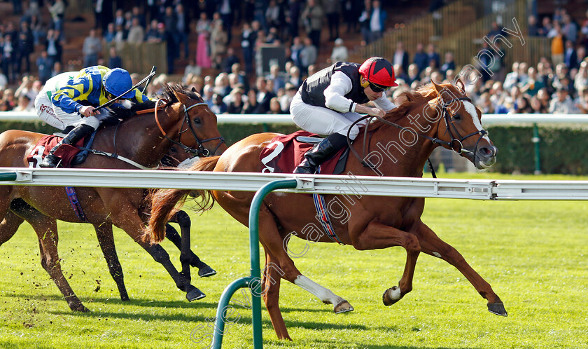 Kyprios-0001 
 KYPRIOS (Ryan Moore) wins The Qatar Prix de Cadran
Longchamp 5 Oct 2024 - Pic Steven Cargill / Racingfotos.com