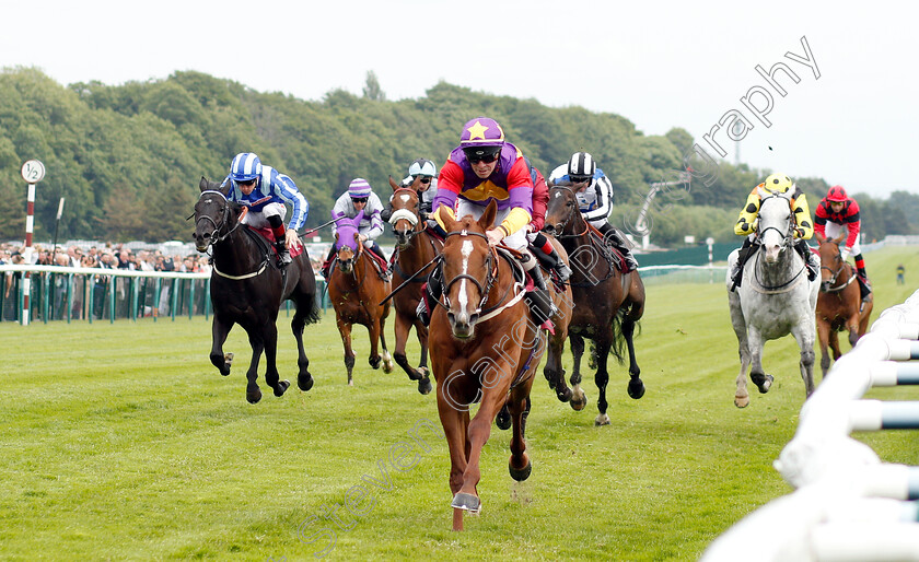 Lucky-Deal-0002 
 LUCKY DEAL (Franny Norton) wins The Amix Ready Mixed Concrete Handicap
Haydock 25 May 2019 - Pic Steven Cargill / Racingfotos.com