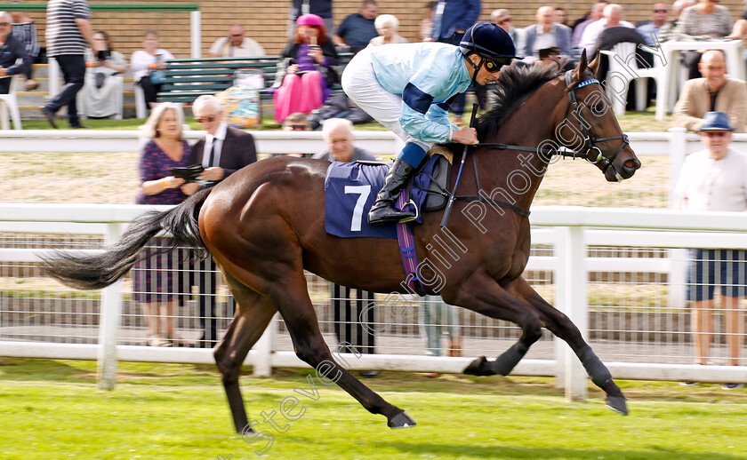 Proverb-0002 
 PROVERB (William Buick)
Yarmouth 13 Sep 2022 - Pic Steven Cargill / Racingfotos.com