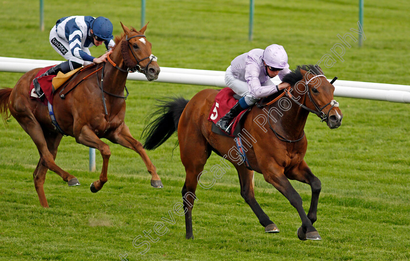 Il-Bandito-0004 
 IL BANDITO (William Buick) beats STREET KID (left) in The Betway Casino Handicap
Haydock 29 May 2021 - Pic Steven Cargill / Racingfotos.com