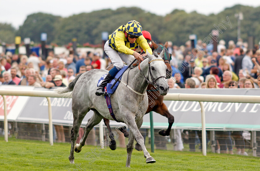 Alfred-Boucher-0004 
 ALFRED BOUCHER (William Buick) wins The Sky Bet Stayers Handicap
York 17 Aug 2022 - Pic Steven Cargill / Racingfotos.com