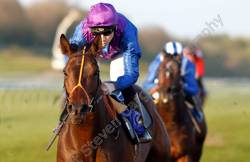 Dubai-Instinct-0006 
 DUBAI INSTINCT (Callum Shepherd) wins The CAstle Beauty Maiden Stakes
Nottingham 20 Apr 2019 - Pic Steven Cargill / Racingfotos.com