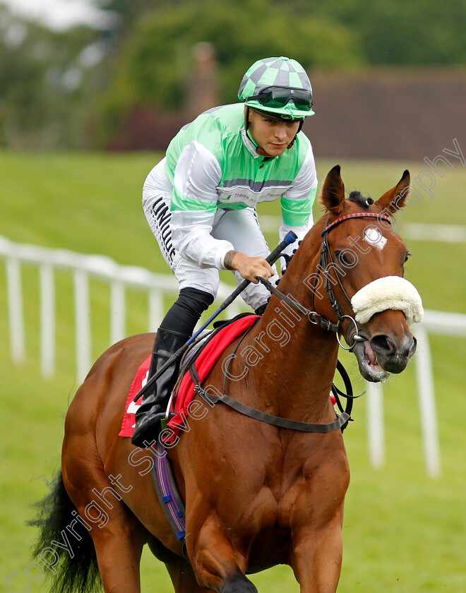 Dr-Foster-0001 
 DR FOSTER (Thore Hammer Hansen)
Sandown 27 Jul 2023 - Pic Steven Cargill / Racingfotos.com