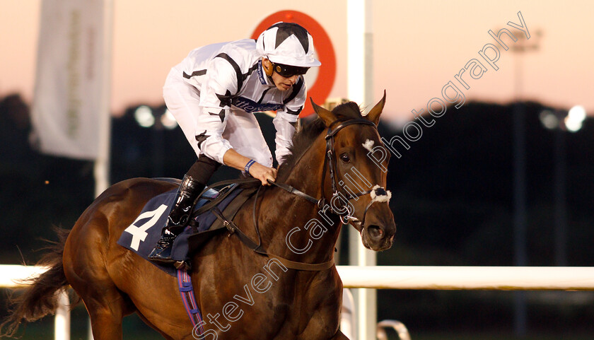 Thunderbolt-Rocks-0009 
 THUNDERBOLT ROCKS (James Doyle) wins The Hellermanntyton Identification Handicap
Wolverhampton 5 Sep 2018 - Pic Steven Cargill / Racingfotos.com