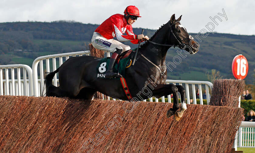 Foxtail-Hill-0002 
 FOXTAIL HILL (Sam Twiston-Davies) wins The Randox Health Handicap Chase Cheltenham 28 oct 2017 - Pic Steven Cargill / Racingfotos.com