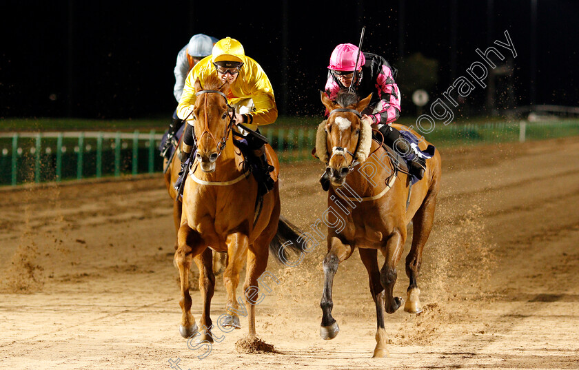 Zylan-0005 
 ZYLAN (left, Callum Rodriguez) beats PRIVATE MATTER (right) in The Betway Handicap
Southwell 15 Jan 2020 - Pic Steven Cargill / Racingfotos.com