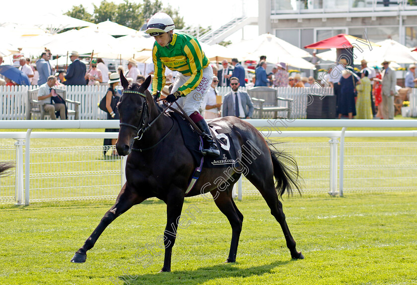 Francisco s-Piece-0001 
 FRANCISCO'S PIECE (Oisin Murphy)
Goodwood 31 Jul 2024 - Pic Steven Cargill / Racingfotos.com