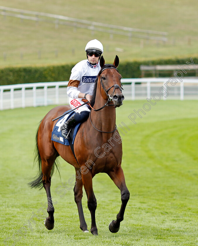 Dusky-Lord-0001 
 DUSKY LORD (Jack Mitchell)
Goodwood 27 Aug 2022 - Pic Steven Cargill / Racingfotos.com