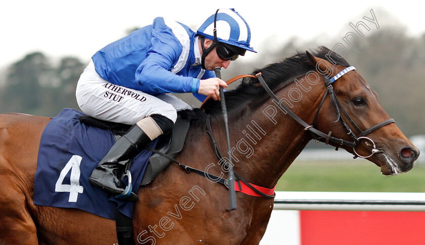 Mohtarrif-0009 
 MOHTARRIF (Martin Dwyer) wins The Ladbrokes Home Of The Odds Boost Novice Stakes
Lingfield 23 Mar 2019 - Pic Steven Cargill / Racingfotos.com