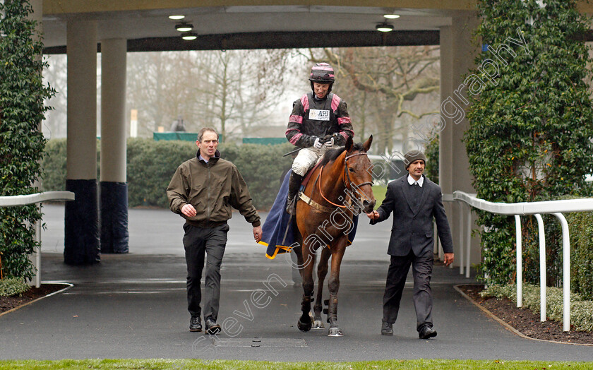 Nayati-0007 
 NAYATI (Wayne Hutchinson) after The Horse Comes First Juvenile Hurdle Ascot 20 Jan 2018 - Pic Steven Cargill / Racingfotos.com