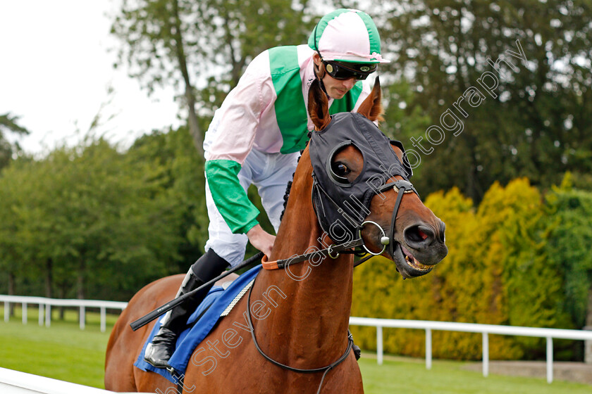 Duke-Of-Hazzard-0001 
 DUKE OF HAZZARD (James Doyle)
Salisbury 12 Aug 2021 - Pic Steven Cargill / Racingfotos.com