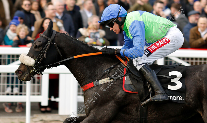 Canardier-0009 
 CANARDIER (Barry Geraghty) wins The Ballymore Novices Hurdle
Cheltenham 26 Oct 2018 - Pic Steven Cargill / Racingfotos.com