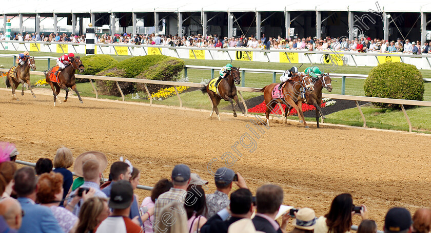 Point-Of-Honor-0002 
 POINT OF HONOR (Javier Castellano) wins The Black-Eyed Susan Stakes
Pimlico, Baltimore USA, 17 May 2019 - Pic Steven Cargill / Racingfotos.com