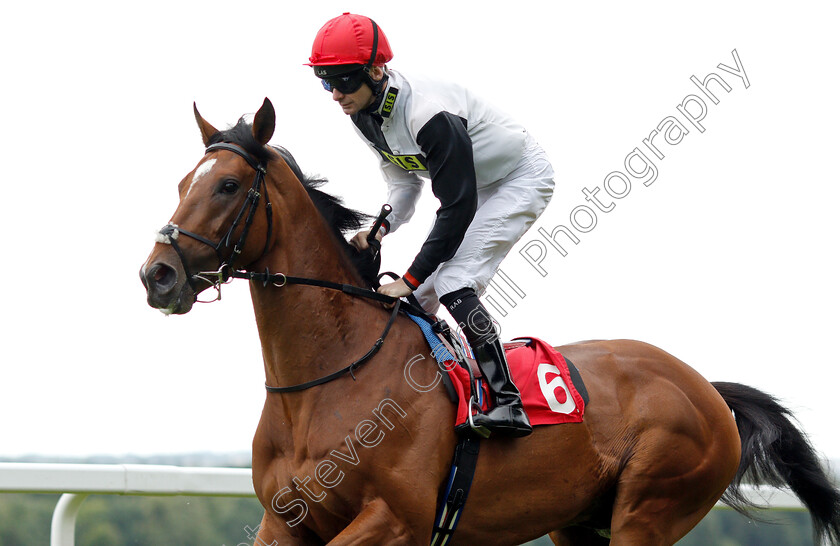 Marechal-Ney-0002 
 MARECHAL NEY (Robert Havlin)
Sandown 16 Jun 2018 - Pic Steven Cargill / Racingfotos.com