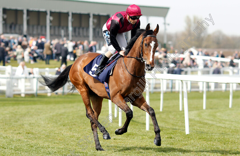 Manton-Warrior-0001 
 MANTON WARRIOR (Stevie Donohoe)
Yarmouth 23 Apr 2019 - Pic Steven Cargill / Racingfotos.com