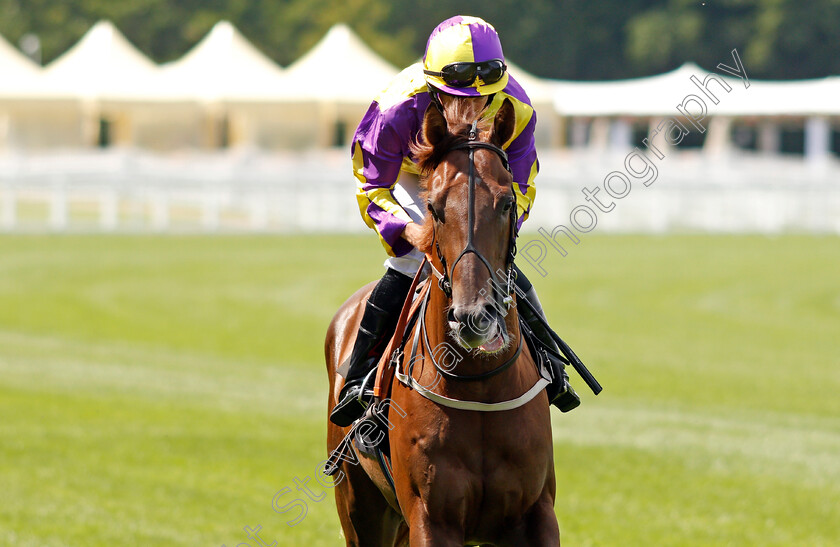 Klip-Klopp-0001 
 KLIP KLOPP (Ryan Moore)
Ascot 23 Jul 2021 - Pic Steven Cargill / Racingfotos.com