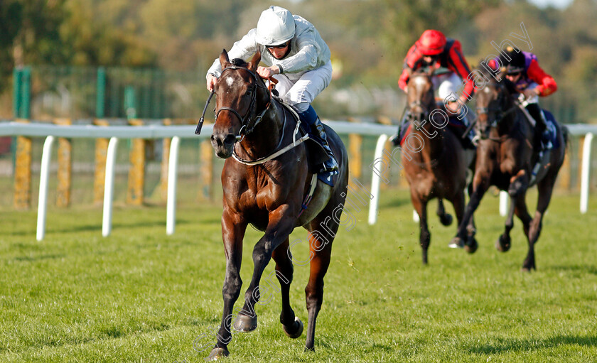 Forest-Falcon-0006 
 FOREST FALCON (William Buick) wins The British Stallion Studs EBF Novice Stakes
Yarmouth 17 Sep 2020 - Pic Steven Cargill / Racingfotos.com