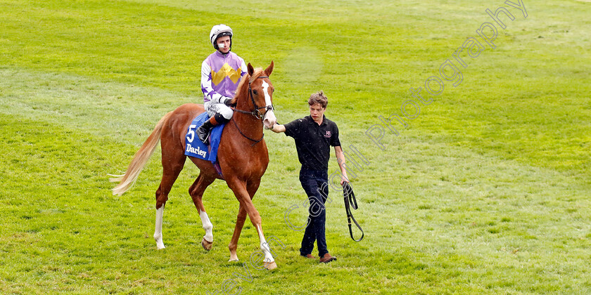 Starzintheireyes-0007 
 STARZINTHEIREYES (Rossa Ryan) winner of The Zetland Stakes
Newmarket 12 Oct 2024 - Pic Steven Cargill / Racingfotos.com