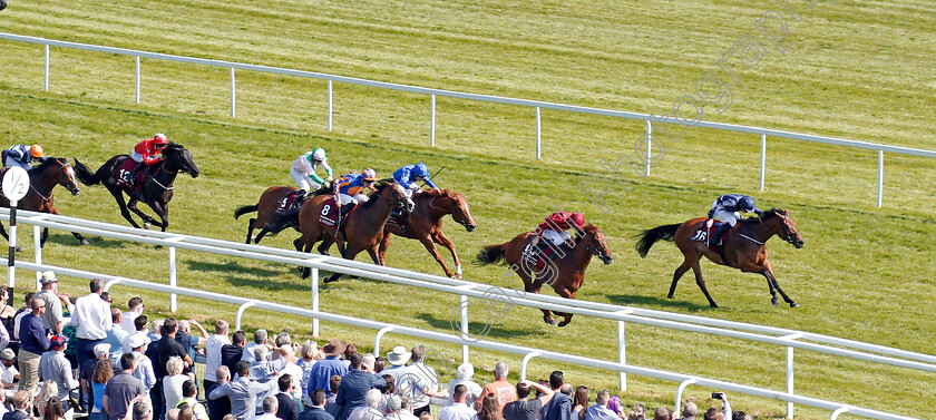 Rhododendron-0003 
 RHODODENDRON (right, Ryan Moore) beats LIGHTNING SPEAR (nearside) in The Al Shaqab Lockinge Stakes Newbury 19 May 2018 - Pic Steven Cargill / Racingfotos.com