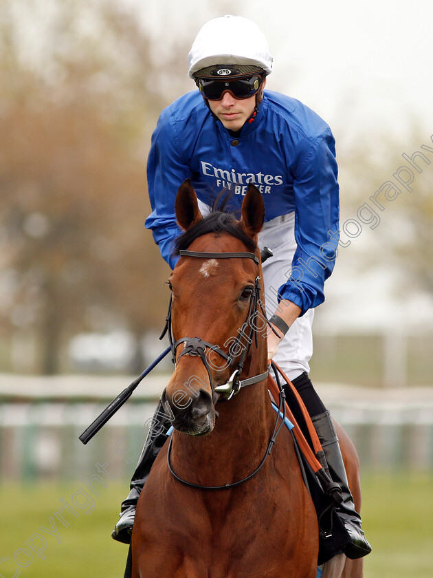 Orchid-Star-0002 
 ORCHID STAR (James Doyle)
Newmarket 16 Apr 2019 - Pic Steven Cargill / Racingfotos.com