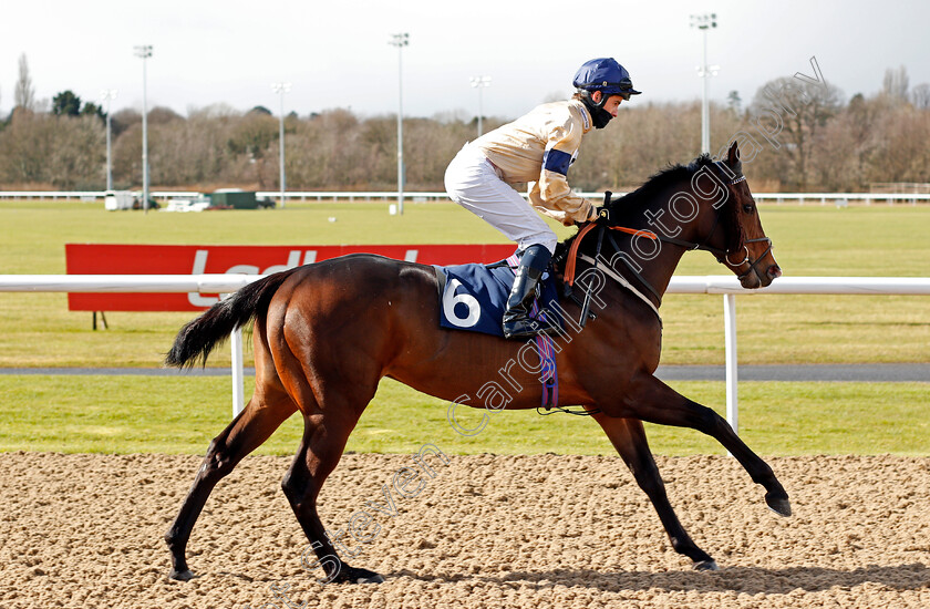 Zumaaty-0001 
 ZUMAATY (Adam McNamara)
Wolverhampton 13 Mar 2021 - Pic Steven Cargill / Racingfotos.com