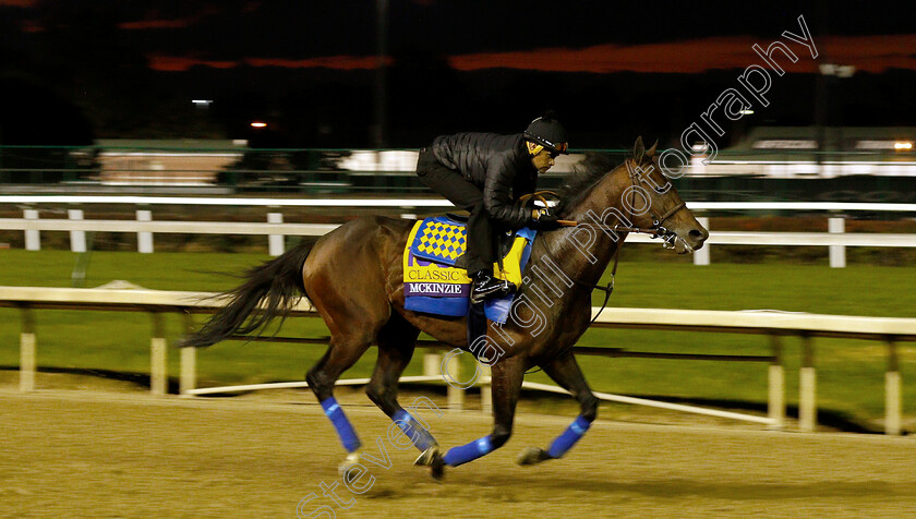 Mckinzie-0001 
 MCKINZIE exercising ahead of The Breeders' Cup Classic
Churchill Downs USA 31 Oct 2018 - Pic Steven Cargill / Racingfotos.com