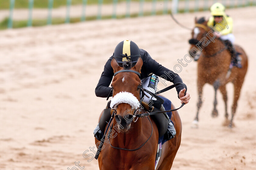 Ranch-Hand-0008 
 RANCH HAND (William Carver) wins The Sky Sports Racing Sky 415 Novice Median Auction Stakes
Southwell 29 Apr 2019 - Pic Steven Cargill / Racingfotos.com