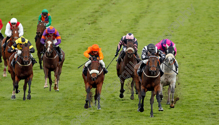 Wrenthorpe-0003 
 WRENTHORPE (right, Graham Lee) beats FREE LOVE (centre) in The Mansionbet Proud To Support British Racing Handicap
Nottingham 14 Oct 2020 - Pic Steven Cargill / Racingfotos.com