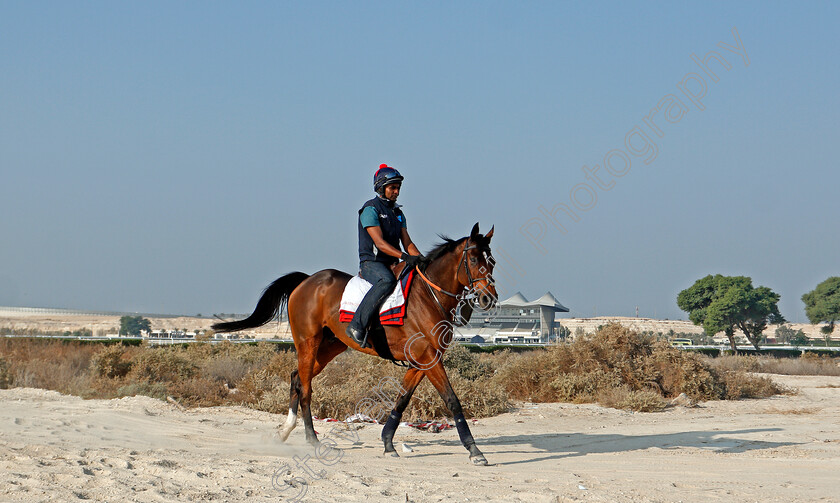 Desert-Encounter-0003 
 DESERT ENCOUNTER training for the Bahrain International Trophy
Rashid Equestrian & Horseracing Club, Bahrain, 19 Nov 2020 - Pic Steven Cargill / Racingfotos.com