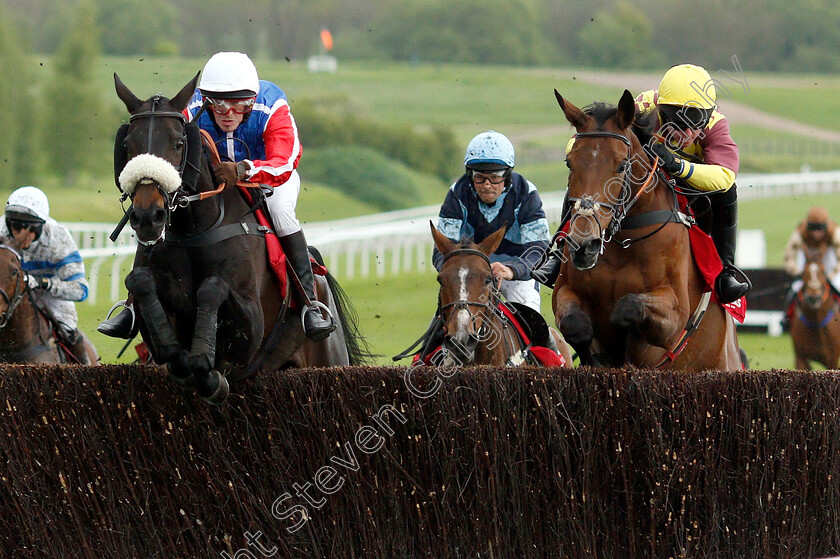 Black-Jewel-0001 
 BLACK JEWEL (left, Gordon Hopkinson) with PANCRACE (right)
Cheltenham 3 May 2019 - Pic Steven Cargill / Racingfotos.com