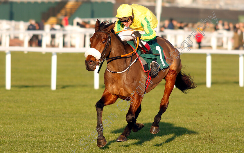 Synopsis-0003 
 SYNOPSIS (Richard Johnson) wins The CF Roberts Electrical & Mechanical Services Mares Handicap Chase
Cheltenham 14 Dec 2018 - Pic Steven Cargill / Racingfotos.com