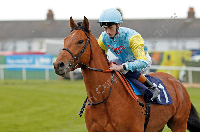 Zamandas-0002 
 ZAMANDAS (David Egan) Yarmouth 24 Apr 2018 - Pic Steven Cargill / Racingfotos.com