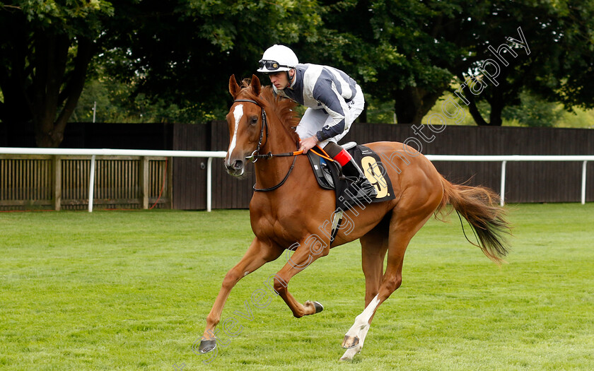 Modern-Utopia-0001 
 MODERN UTOPIA (Clifford Lee)
Newmarket 13 Jul 2024 - Pic Steven Cargill / Racingfotos.com