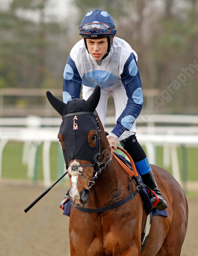 Awtaad-Prince-0001 
 AWTAAD PRINCE (Tommie Jakes)
Lingfield 7 Mar 2024 - Pic Steven Cargill / Racingfotos.com