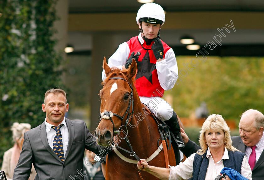 Just-Glamorous-0006 
 JUST GLAMOROUS (Oisin Murphy) after The Hope And Homes For Children Rous Stakes Ascot 7 Oct 2017 - Pic Steven Cargill / Racingfotos.com