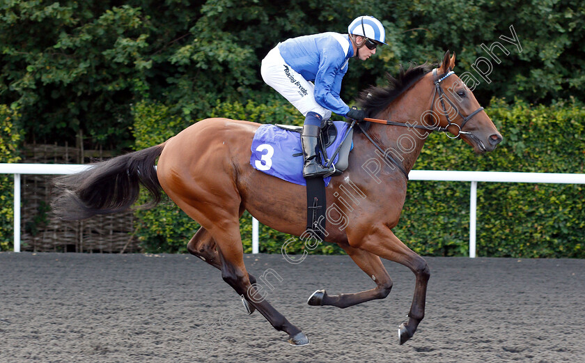 Edaraat-0002 
 EDARAAT (Jim Crowley) before The 32Red Casino Handicap Div2
Kempton 10 Jul 2019 - Pic Steven Cargill / Racingfotos.com