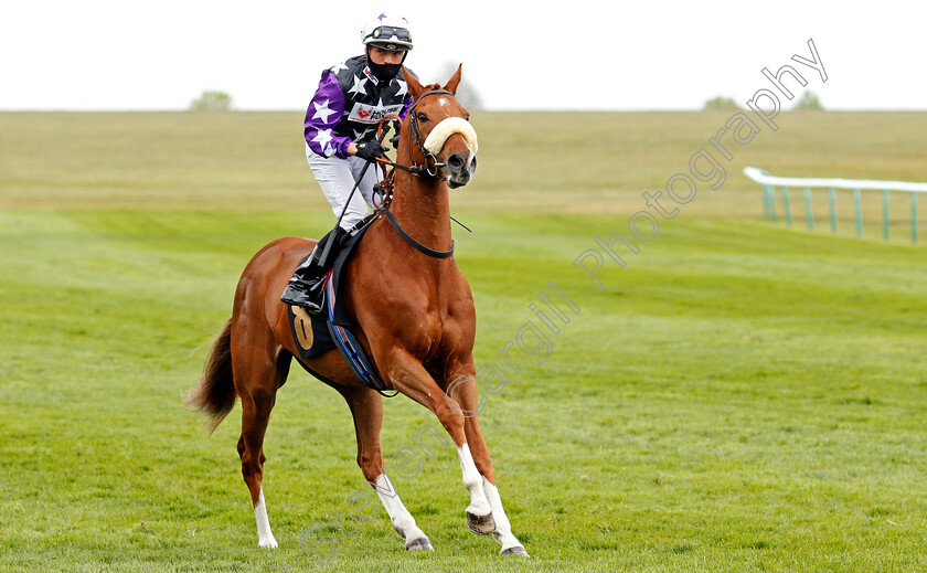 Sandyman-0001 
 SANDYMAN (Theodore Ladd)
Newmarket 14 May 2021 - Pic Steven Cargill / Racingfotos.com