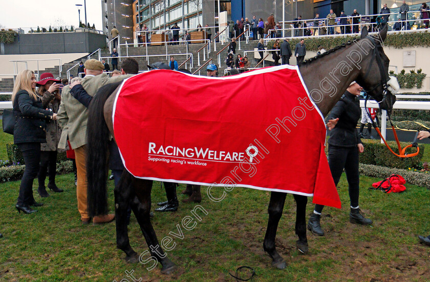 Hunters-Call-0011 
 HUNTERS CALL after The Racing Welfare Handicap Hurdle Ascot 23 Dec 2017 - Pic Steven Cargill / Racingfotos.com