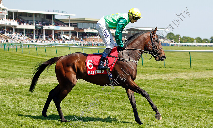 Metal-Merchant-0001 
 METAL MERCHANT (R Whelan)
Haydock 27 May 2023 - Pic Steven Cargill / Racingfotos.com