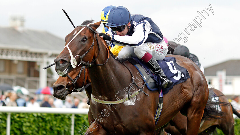 Able-Kane-0004 
 ABLE KANE (Oisin Murphy) wins The Cazoo Handicap
Doncaster 10 Sep 2021 - Pic Steven Cargill / Racingfotos.com