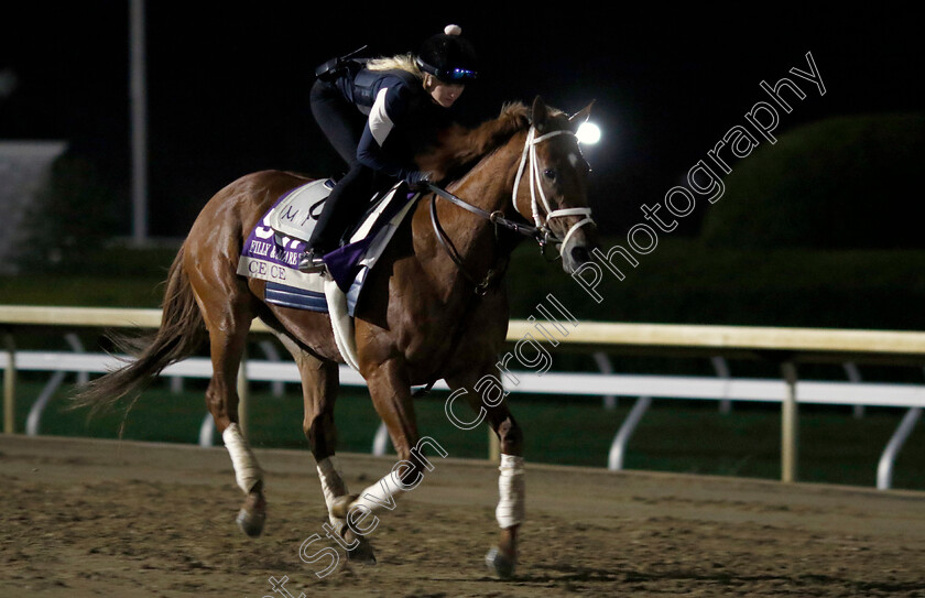 Ce-Ce-0001 
 CE CE training for the Breeders' Cup Filly & Mare Sprint
Keeneland, USA 31 Oct 2022 - Pic Steven Cargill / Racingfotos.com