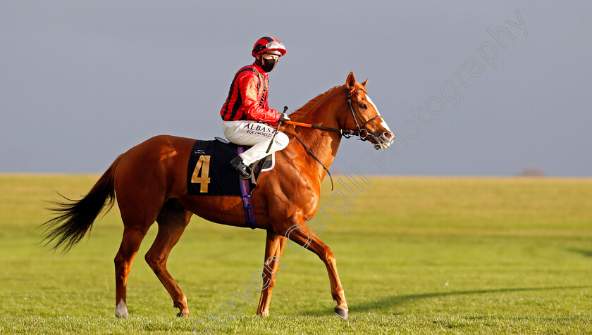 Stormy-Antarctic-0001 
 STORMY ANTARCTIC (Tom Marquand)
Newmarket 31 Oct 2020 - Pic Steven Cargill / Racingfotos.com