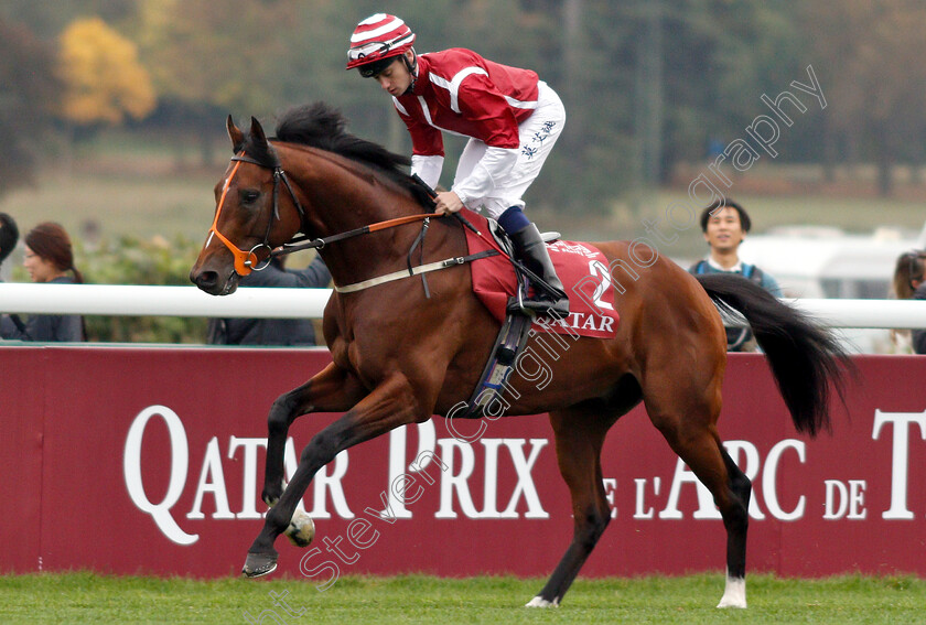 Salouen-0001 
 SALOUEN (Oisin Murphy)
Longchamp 7 Oct 2018 - Pic Steven Cargill / Racingfotos.com