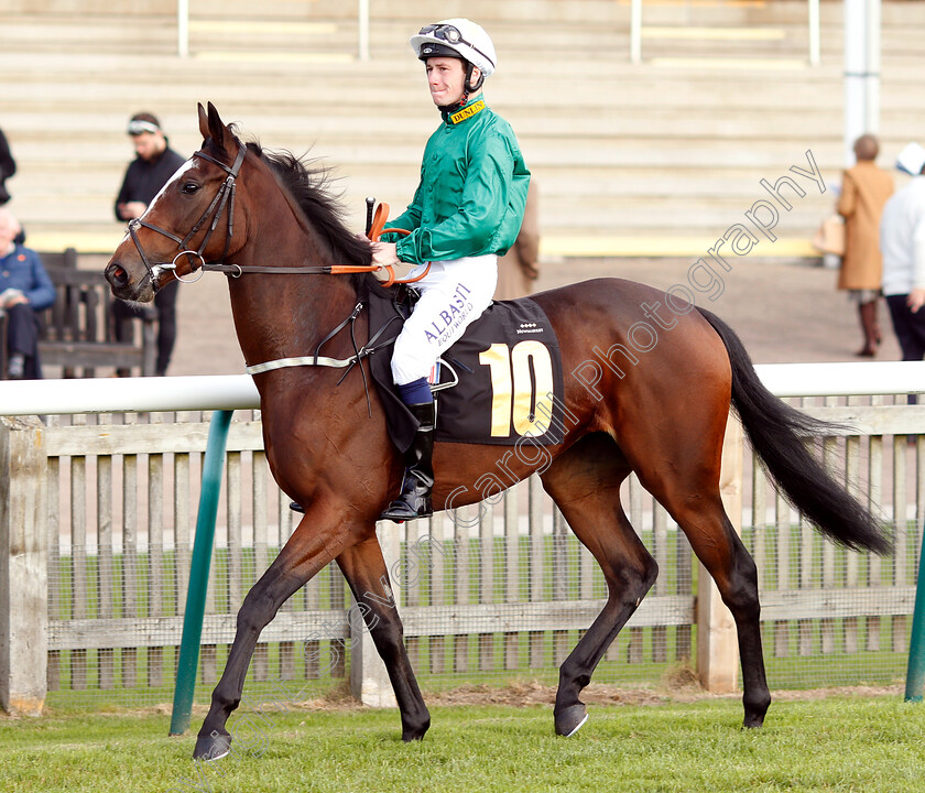 Tartlette-0001 
 TARTLETTE (Oisin Murphy)
Newmarket 24 Oct 2018 - Pic Steven Cargill / Racingfotos.com