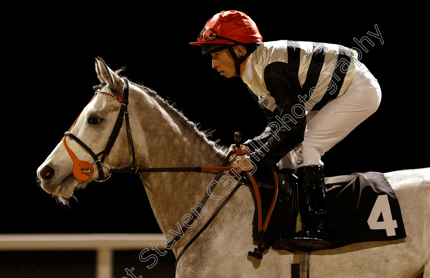 Alabaster-0002 
 ALABASTER (Gavin Ashton)
Chelmsford 20 Feb 2019 - Pic Steven Cargill / Racingfotos.com