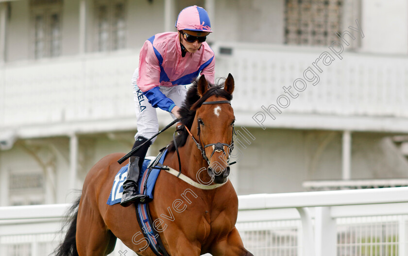 Saligo-Bay-0002 
 SALIGO BAY (Jason Watson)
Epsom 25 Apr 2023 - Pic Steven Cargill / Racingfotos.com