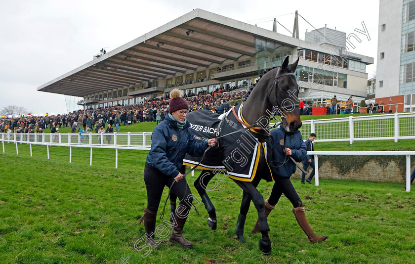 Sprinter-Sacre-0001 
 SPRINTER SACRE leading the parade for the Betfair Tingle Creek Chase
Sandown 3 Dec 2022 - Pic Steven Cargill / Racingfotos.com